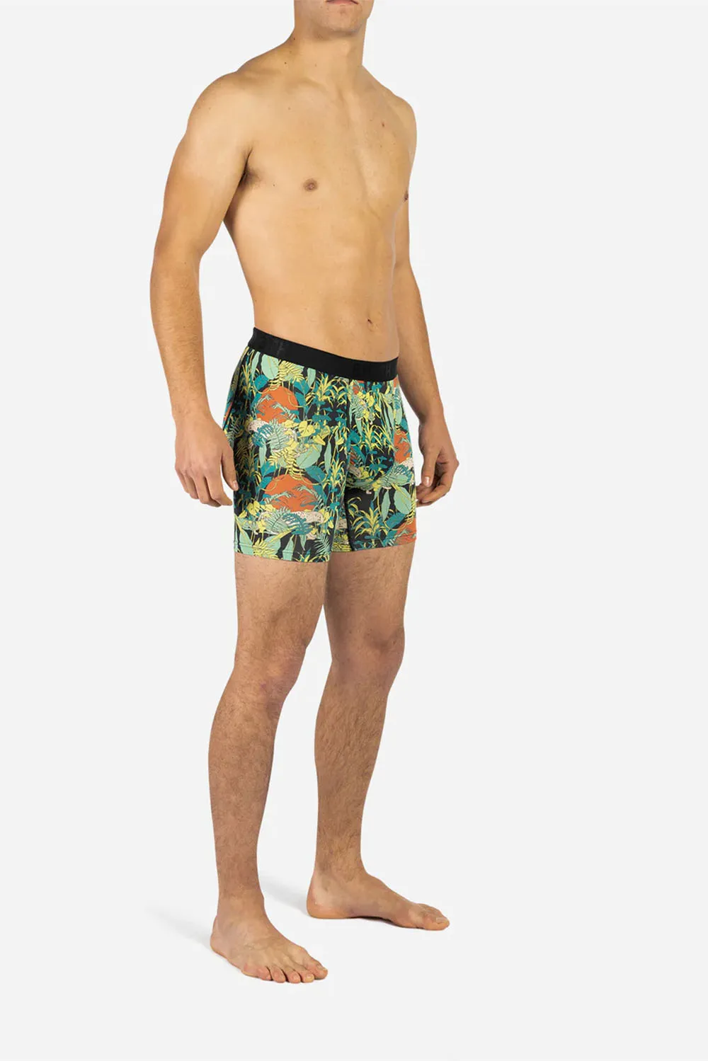 CLASSICS BOXER BRIEF Jungle Black