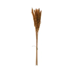 Dried Pampas Grass Bunch-Mustard