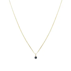 Element Necklace | 14k Gold & Sapphire