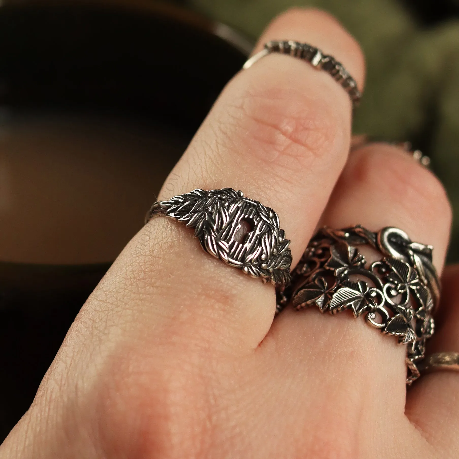 Enchanted Secret Door Ring