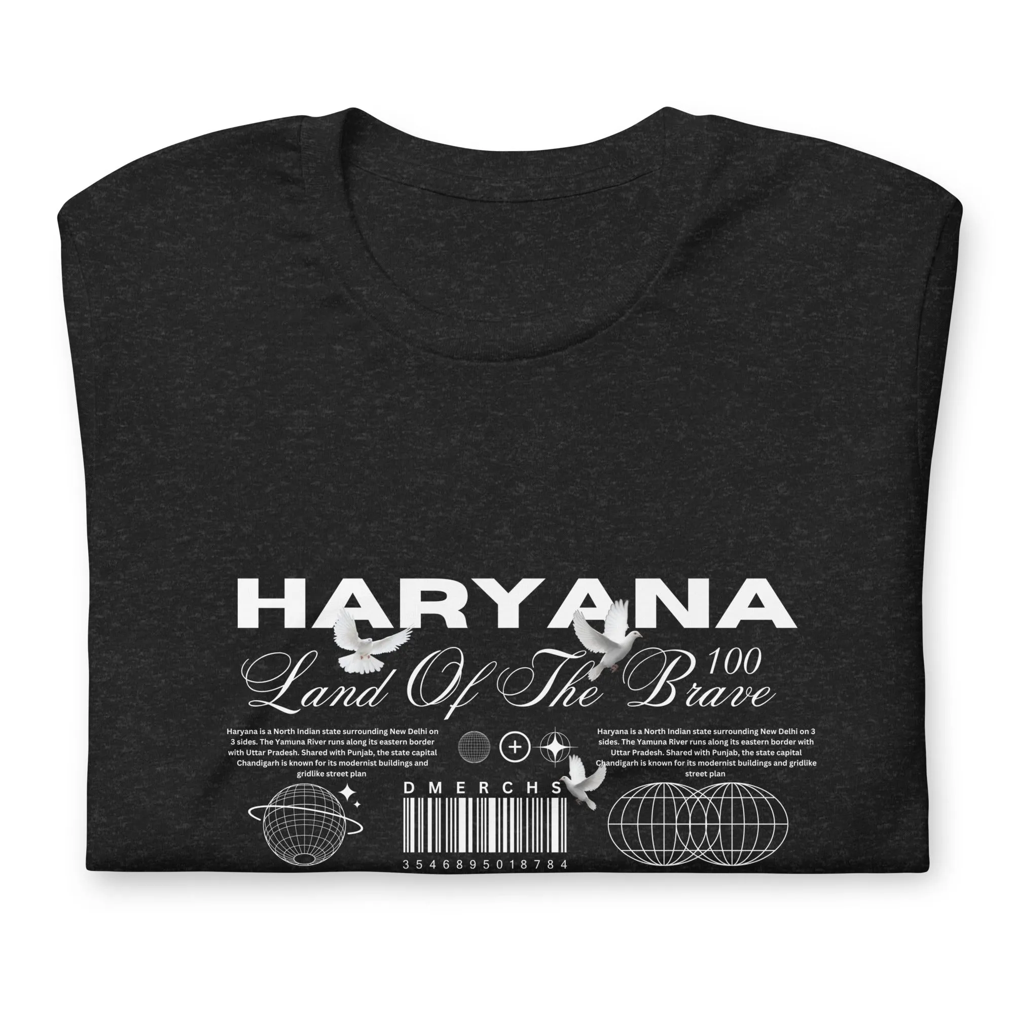 Haryana Land of the Brave Unisex t-shirt