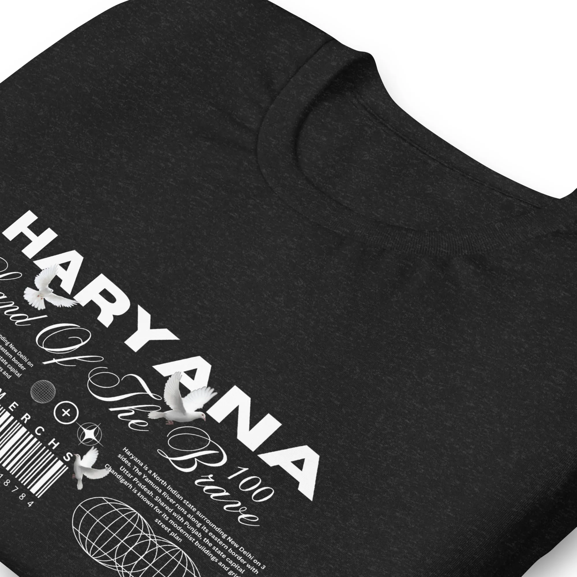 Haryana Land of the Brave Unisex t-shirt