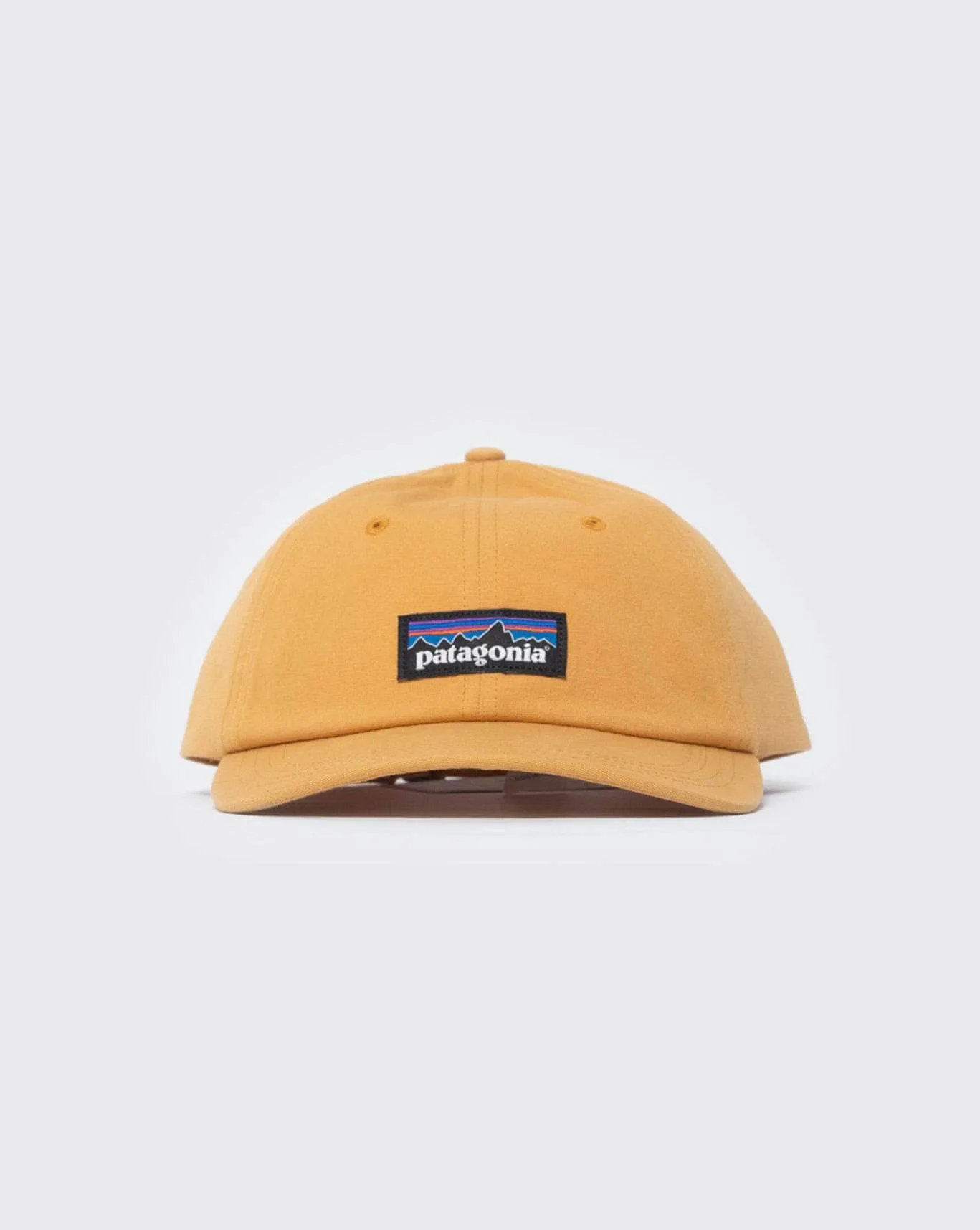 Patagonia P-6 Label Trad Cap