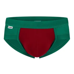 The Rudolf Brief